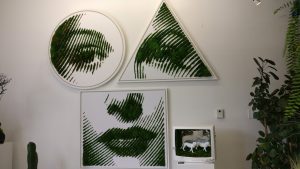 The Plant Future, Inc - Musgo de lejos